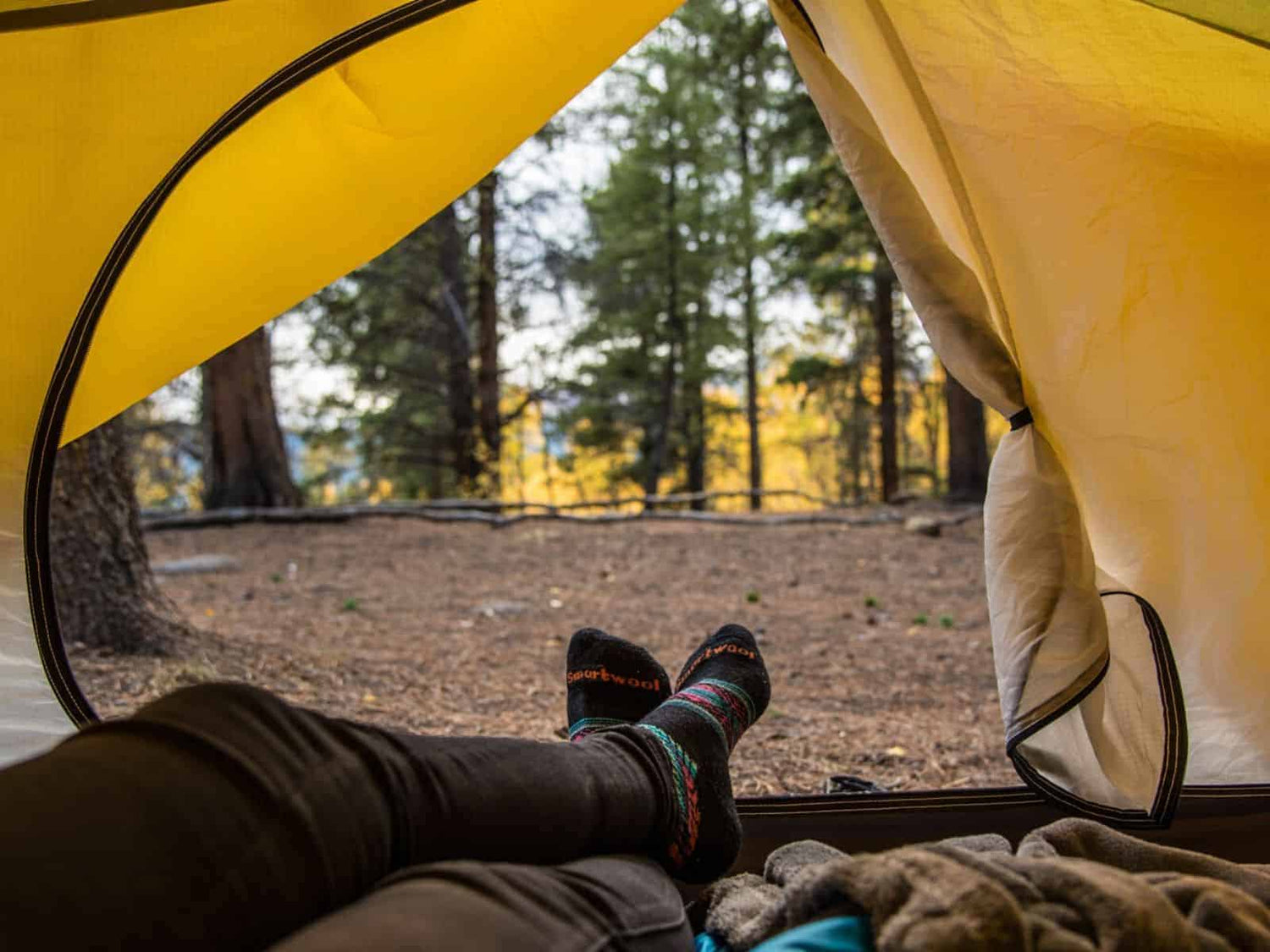 Viajes y camping