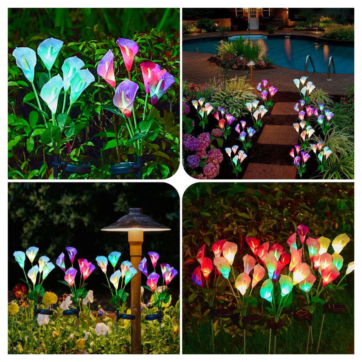Luces Solares para Jardín de Orquídea