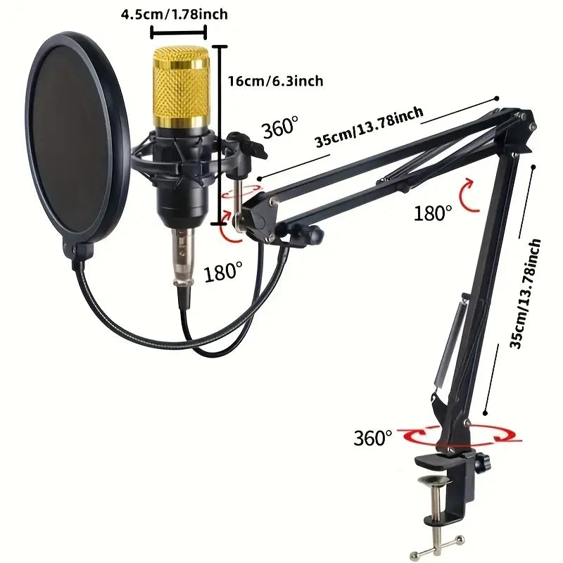 GoldenSound Pro Studio Microphone Kit